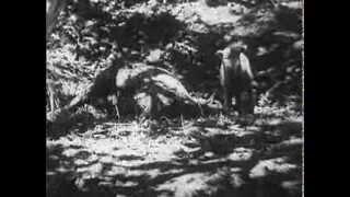 Call of the Wilderness (1932)